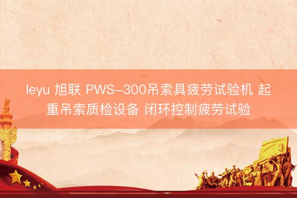 leyu 旭联 PWS-300吊索具疲劳试验机 起重吊索质检设备 闭环控制疲劳试验