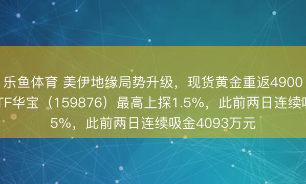 乐鱼体育 美伊地缘局势升级，现货黄金重返4900美元！有色ETF华宝（159876）最高上探1.5%，此前两日连续吸金4093万元
