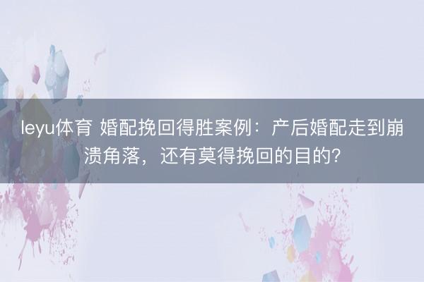 leyu体育 婚配挽回得胜案例:产后婚配走到崩溃角落,还有莫得挽回的目的?