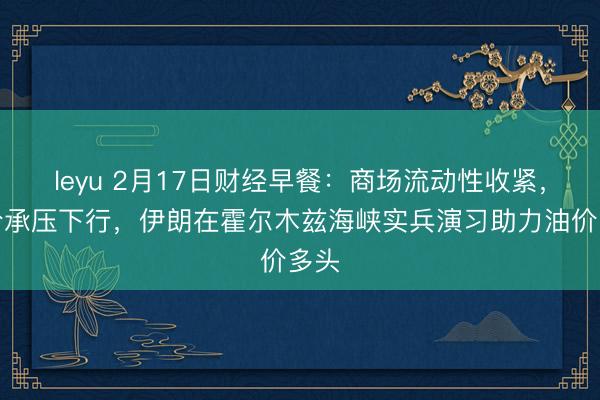 leyu 2月17日财经早餐:商场流动性收紧,金价承压下行,伊朗在霍尔木兹海峡实兵演习助力油价多头