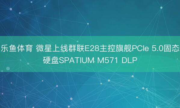 乐鱼体育 微星上线群联E28主控旗舰PCIe 5.0固态硬盘SPATIUM M571 DLP
