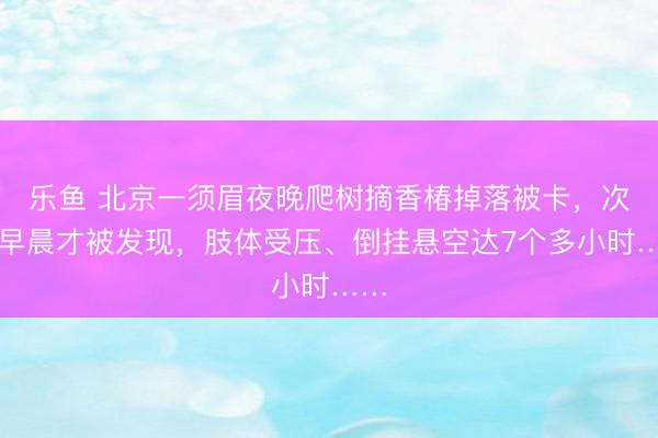 乐鱼 北京一须眉夜晚爬树摘香椿掉落被卡，次日早晨才被发现，肢体受压、倒挂悬空达7个多小时……