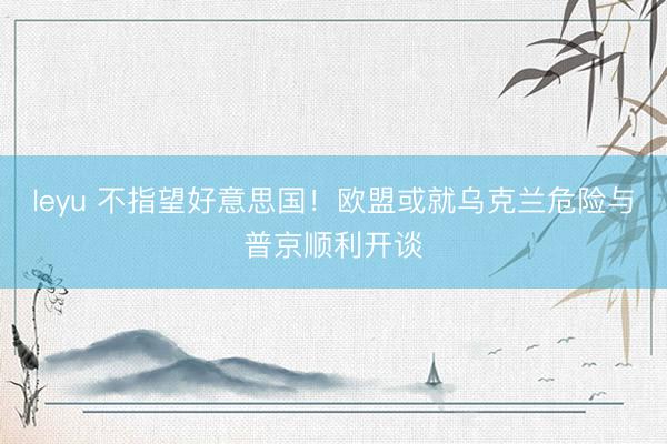 leyu 不指望好意思国！欧盟或就乌克兰危险与普京顺利开谈