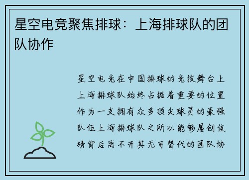 星空电竞聚焦排球：上海排球队的团队协作